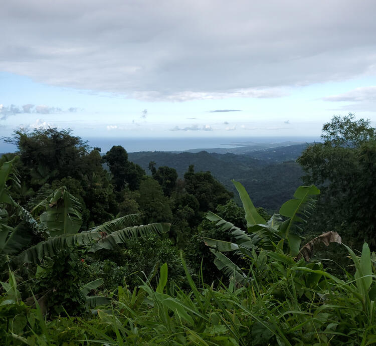 Puerto Rico